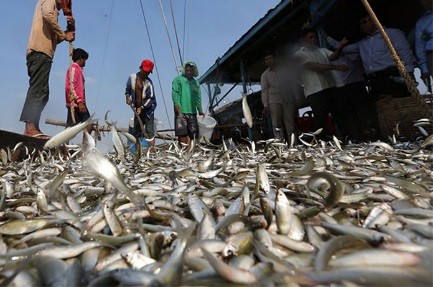柬埔寨经济-渔业