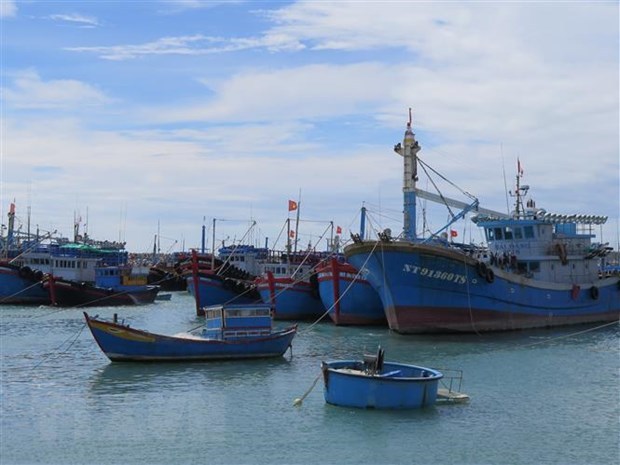 越南渔业