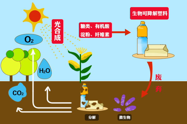 生物可降解聚合物