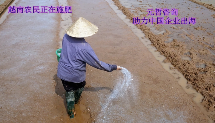 越南化肥市场|越南化肥经销商